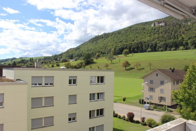 Two buildings, one with a green roof, another with a brown roof, surrounded by a green field and a mountain