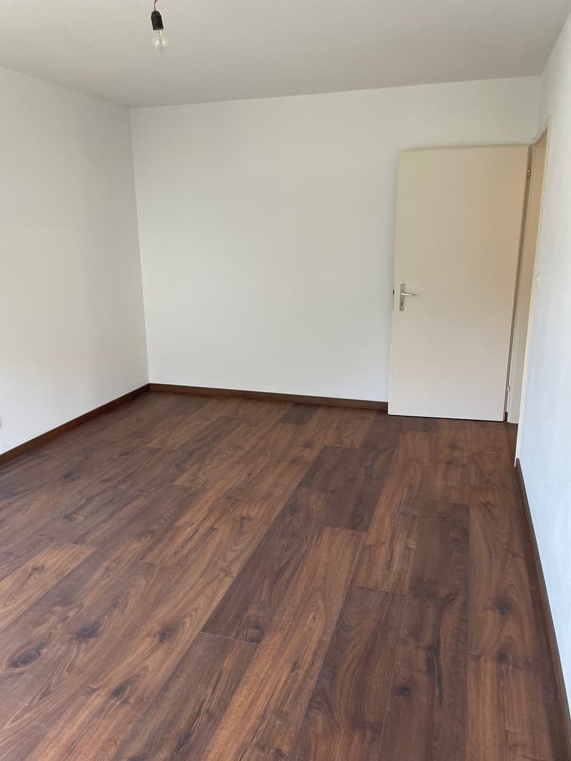 empty room, wooden floor, white walls, white door