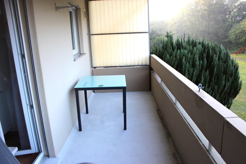 preiswerte 3,5-Zimmer-Wohnung inbegriffen Parkplatz in Einstellhalle (10)