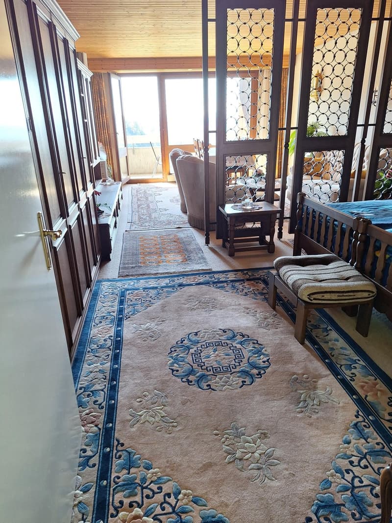 Aussichtsreiche 1,5-Zimmer-Wohnung im 4. Stock (50 m2) (3)
