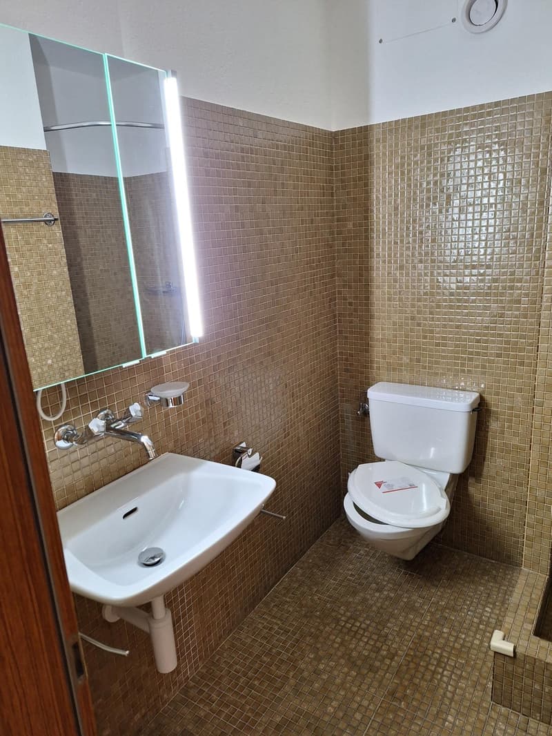 4.5-Zimmer-Wohnung im 2. OG (94 m2) mit Balkon (16 m2), inkl. Parkplatz in AEH (12)