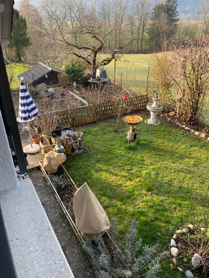 Charmantes 5.5-Zimmer-Haus mit schönem Garten in Niederwil bei Riedholz (5)