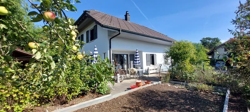 Charmantes 5.5-Zimmer-Haus mit schönem Garten in Niederwil bei Riedholz (3)