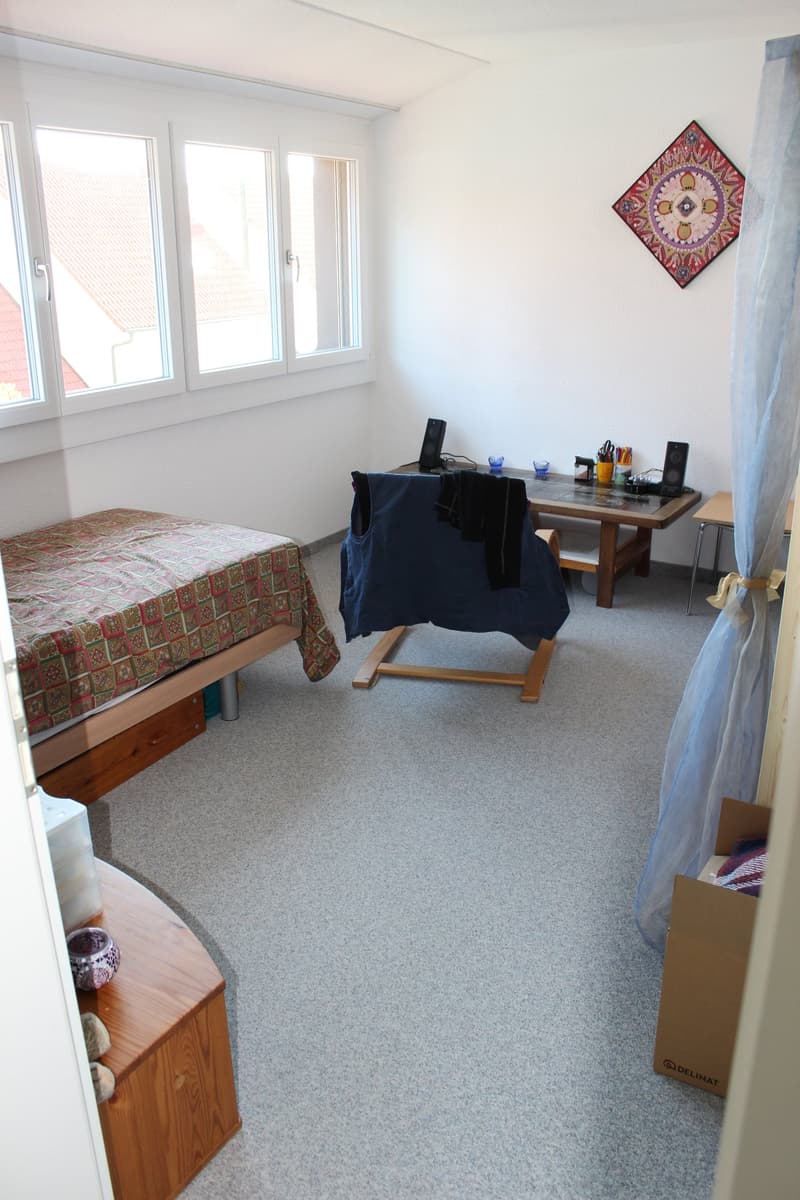 4.5-Zimmer-Maisonette-Wohnung, renoviert und mit wunderbarer Aussicht (7)