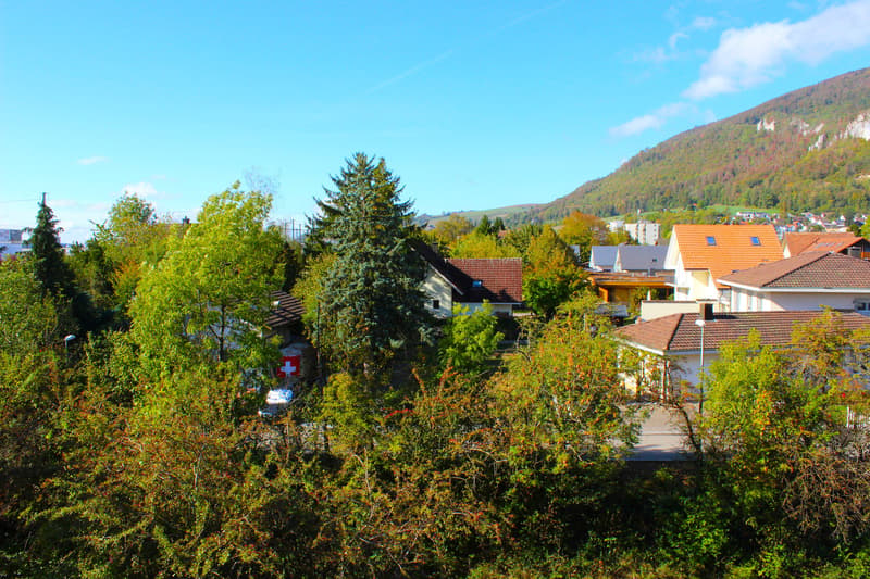 4.5-Zimmer-Maisonette-Wohnung, renoviert und mit wunderbarer Aussicht (3)