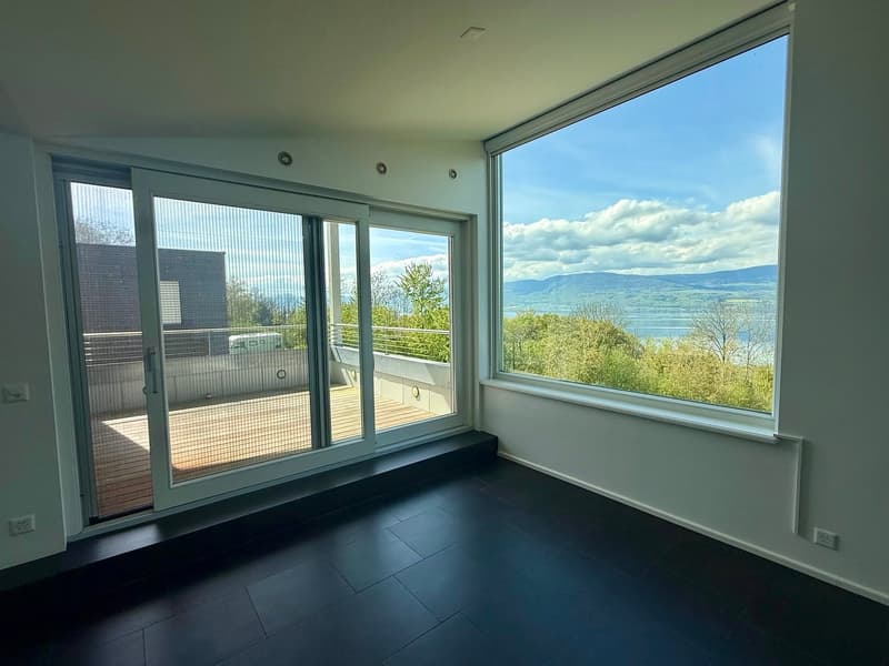 Individual villa with 6 rooms, lake view and large volume (3)