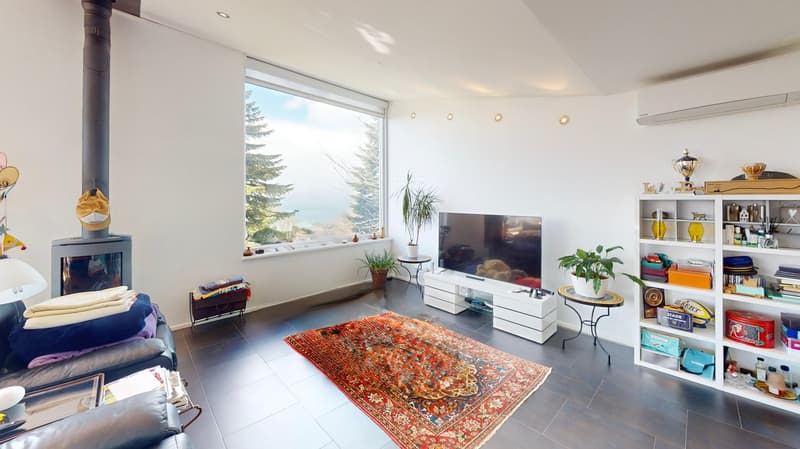 Individual villa with 6 rooms, lake view and large volume (2)
