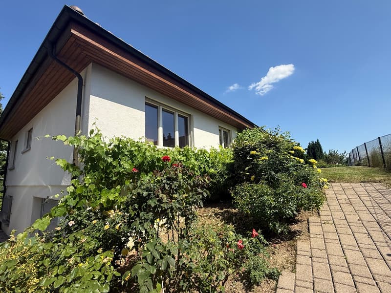 Einzelhaus mit viel Licht in Wohngebiet (3)