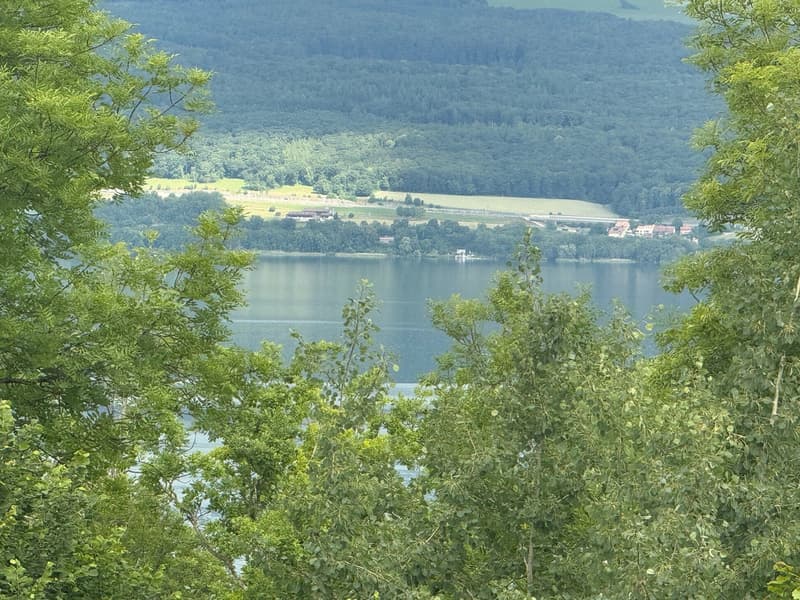 Spacieuse villa bénéficiant de calme et d'une très belle intimité (22)