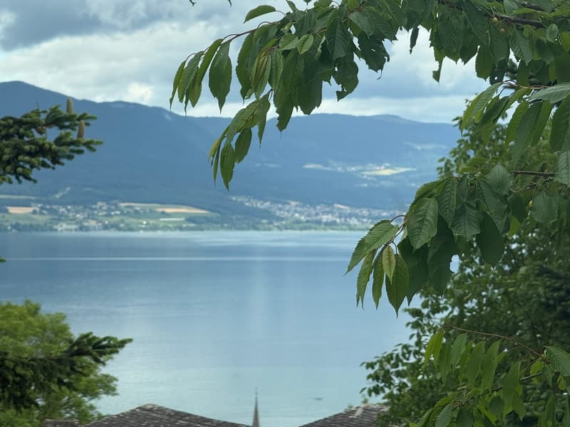 Spacieuse villa bénéficiant de calme et d'une très belle intimité (1)