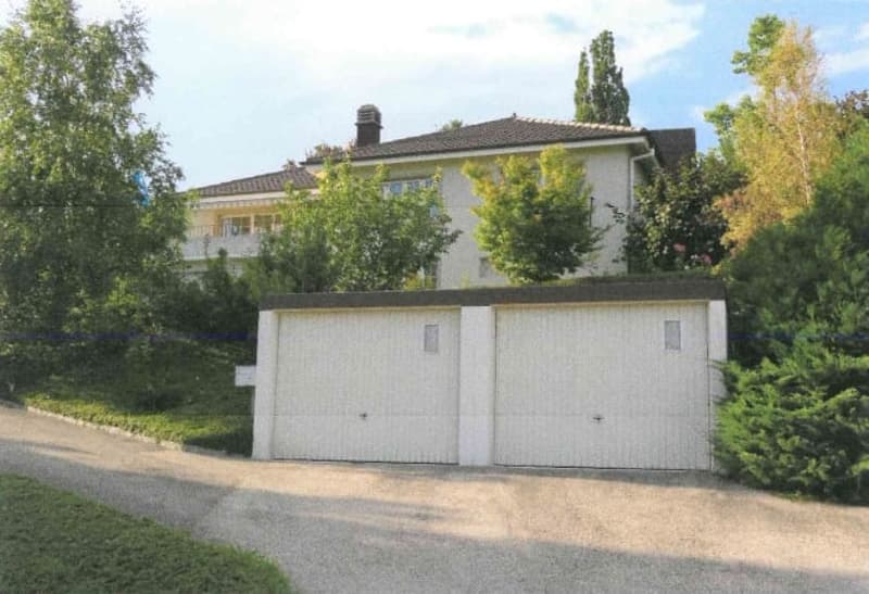 Auvernier (Milvignes) - Magnifica villa individuale con vista lago e Alpi (4)