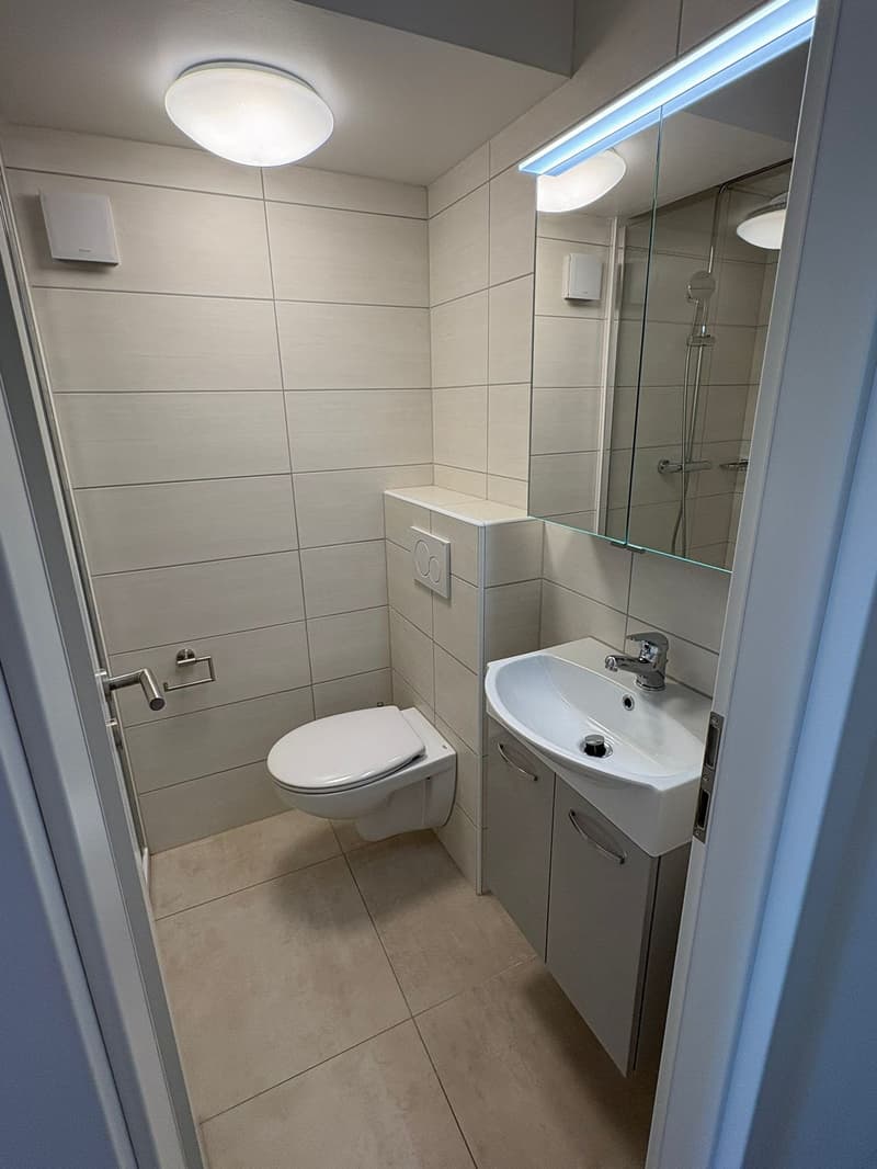 St-Blaise - WG in einer renovierten 4-Zimmer-Wohnung (6)