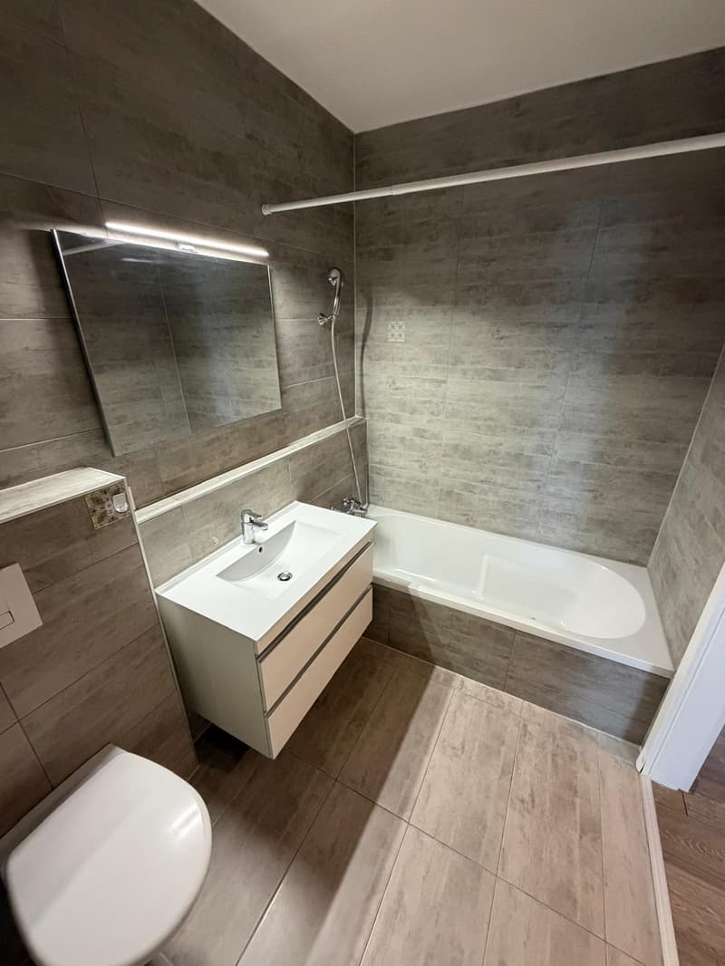 Beau triplex de 4.5 pièces à Perroy, avec garage (3)