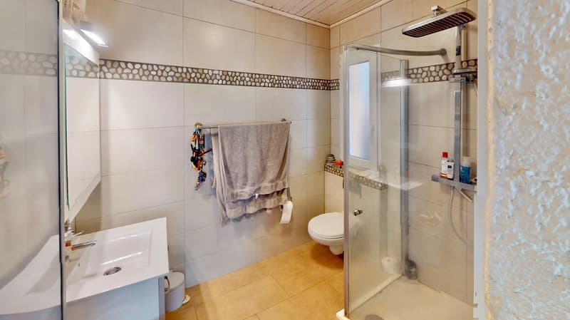 Maison individuelle à Boudry dans cadre verdoyant (9)