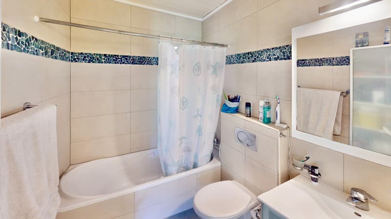 Maison individuelle à Boudry dans cadre verdoyant (11)