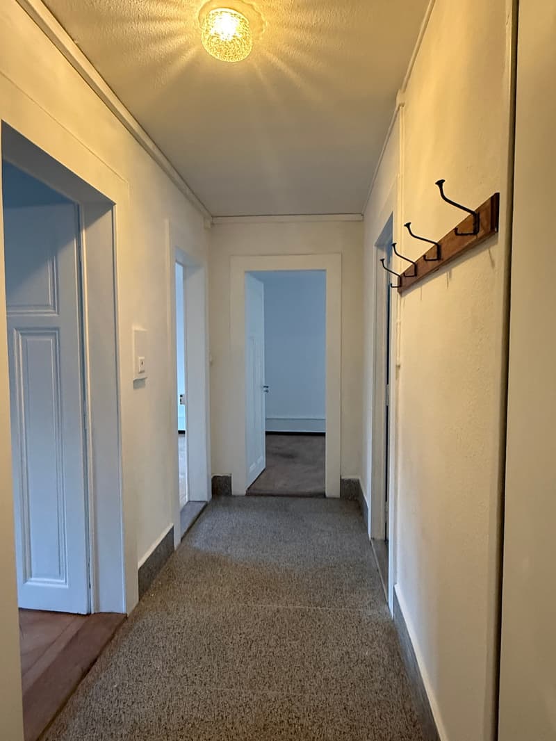 Appartement 3.5 pièces lumineux avec balcon à Neuchâtel proche du lac avec jardin (2)