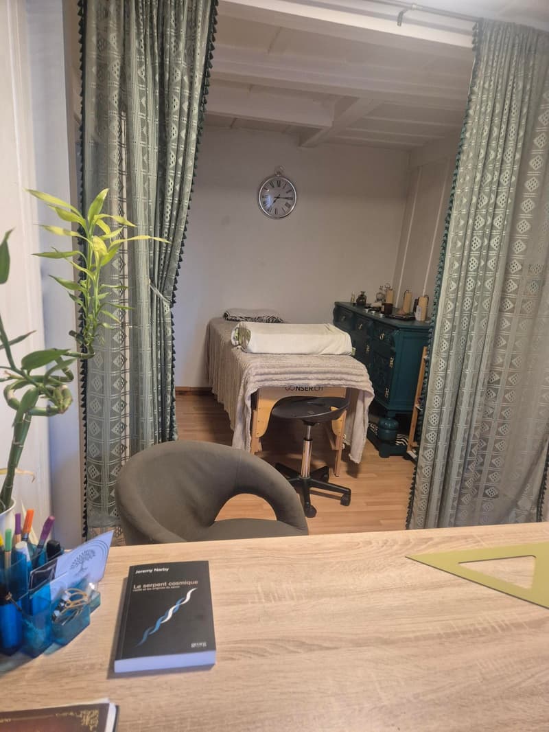 Diesse - Grand 3,5 pièces avec jardin (11)