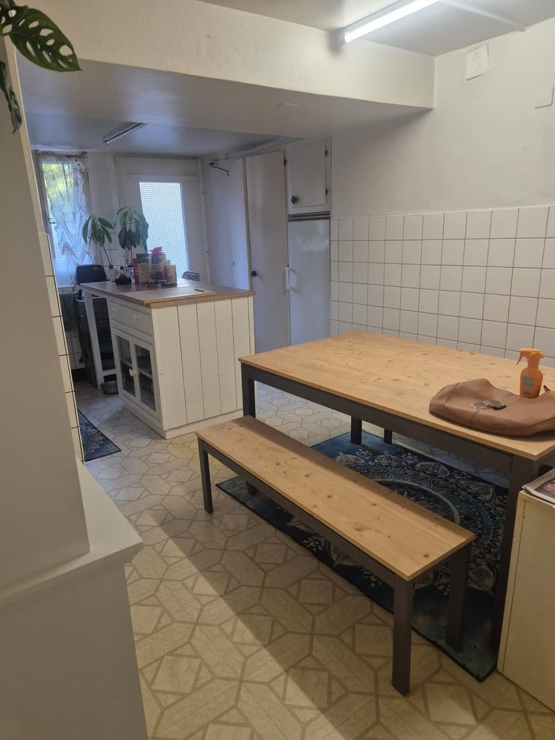 Diesse - Grand 3,5 pièces avec jardin (4)