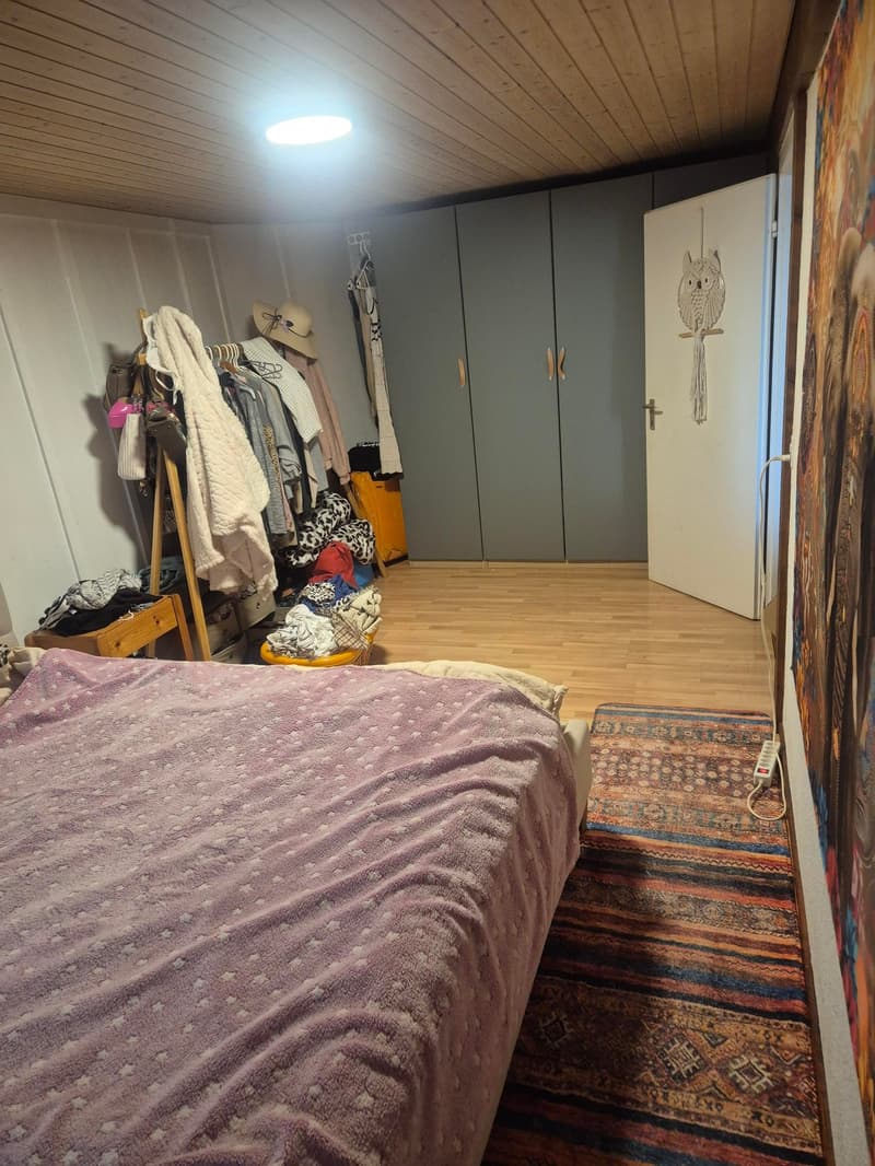 Diesse - Grand 3,5 pièces avec jardin (10)