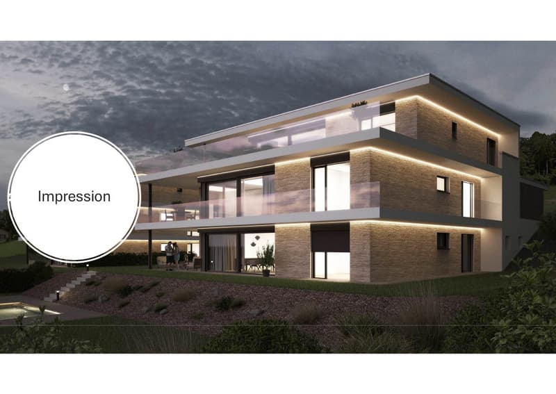 Spacious 8-room duplex apartment with individual design possibilities in Hägendorf (2)
