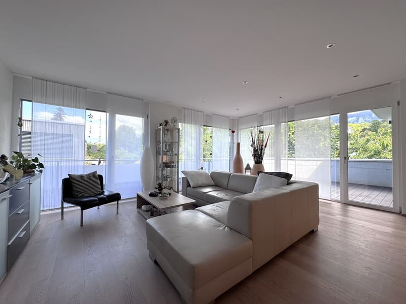 Maison unifamiliale moderne avec piscine à Solothurn (5)