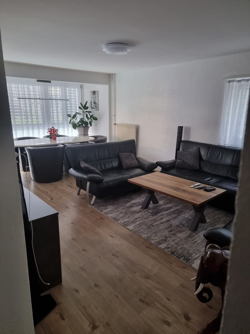 Helle 4.5-Zimmer-Wohnung mit zwei Balkonen an ruhiger Lage (1)