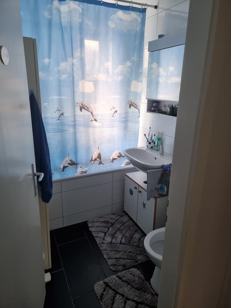 Helle 4.5-Zimmer-Wohnung mit zwei Balkonen an ruhiger Lage (12)