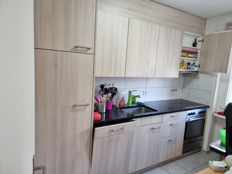 2.5 room apartment with large balcony (3)
