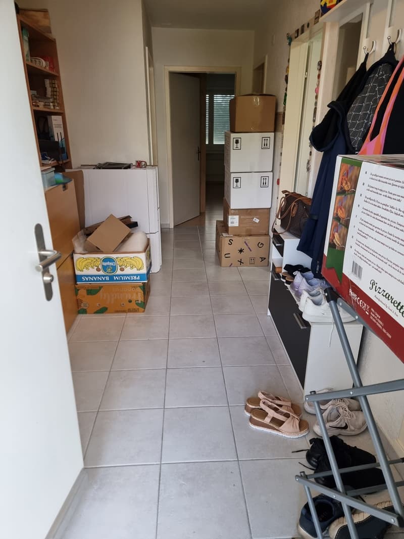 2.5 room apartment with large balcony (10)