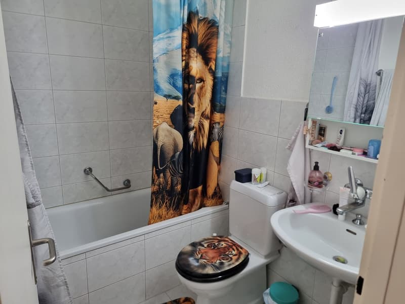 2.5 room apartment with large balcony (6)
