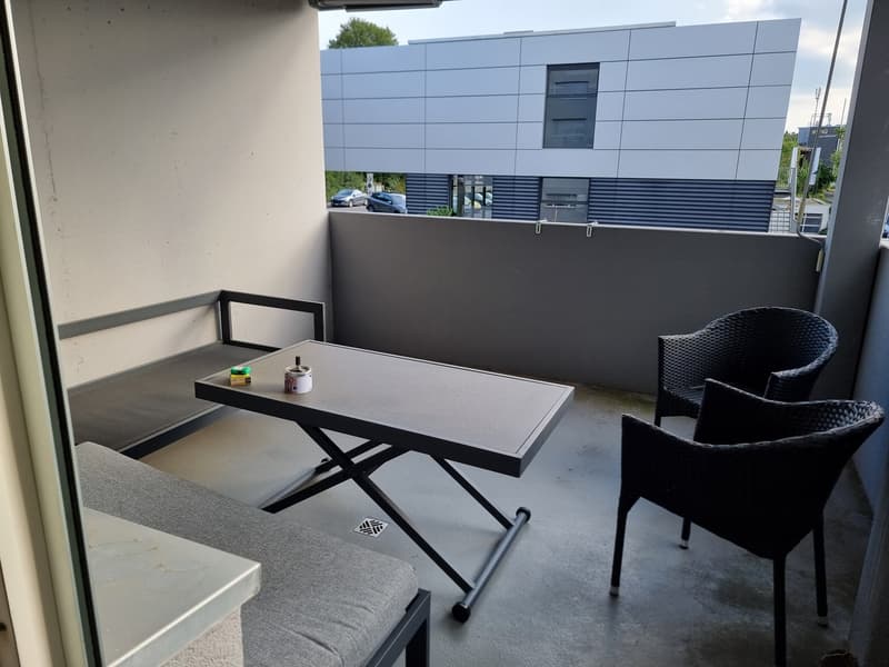 2.5 room apartment with large balcony (9)
