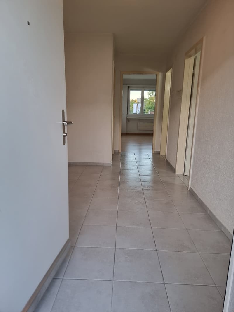 2.5 Zimmerwohnung mit grossem Balkon (6)