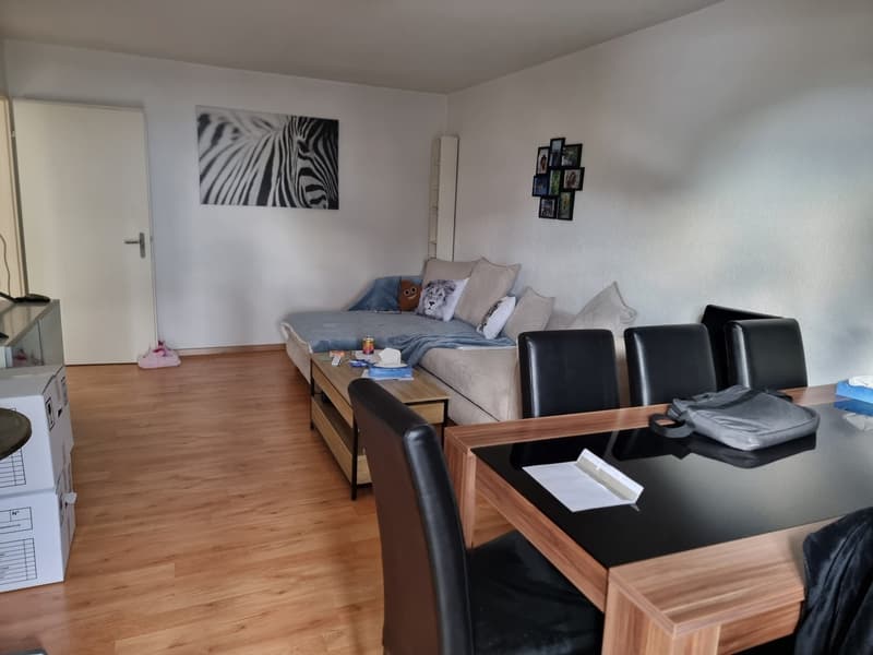2.5 room apartment with large balcony (8)