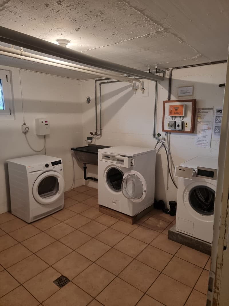 2.5 room apartment with large balcony (12)