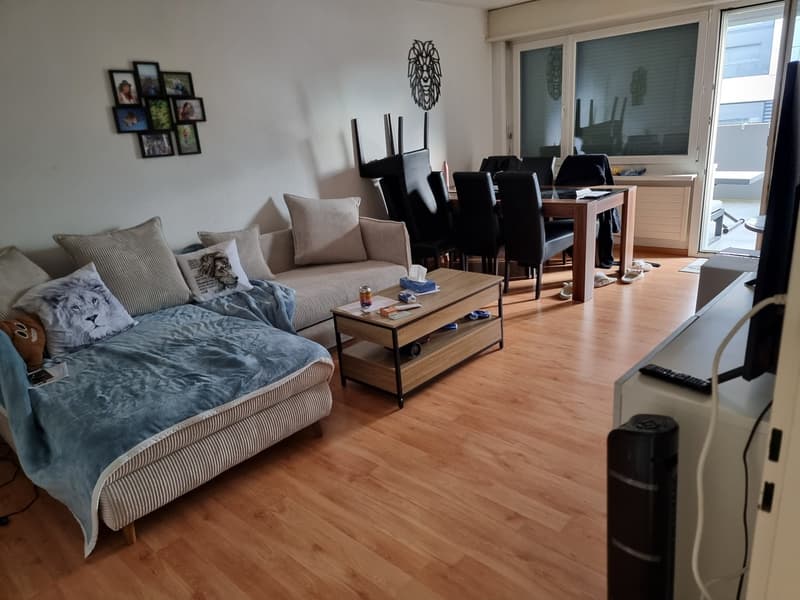 2.5 room apartment with large balcony (7)