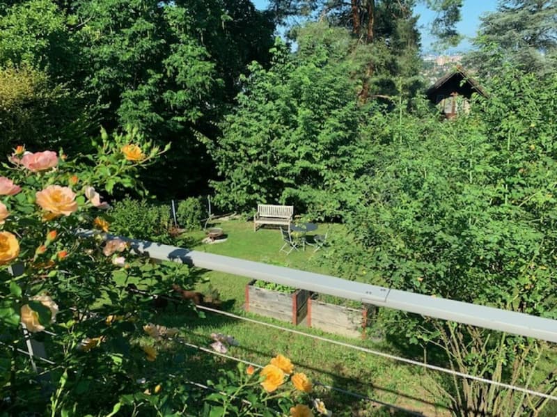 Ausschnitt vom Garten.