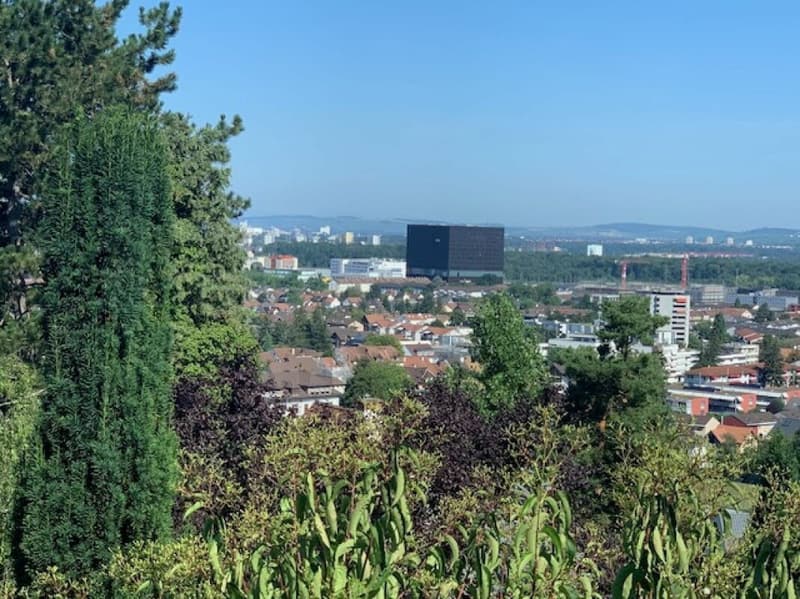 Weitsicht nach Muttenz/Basel.