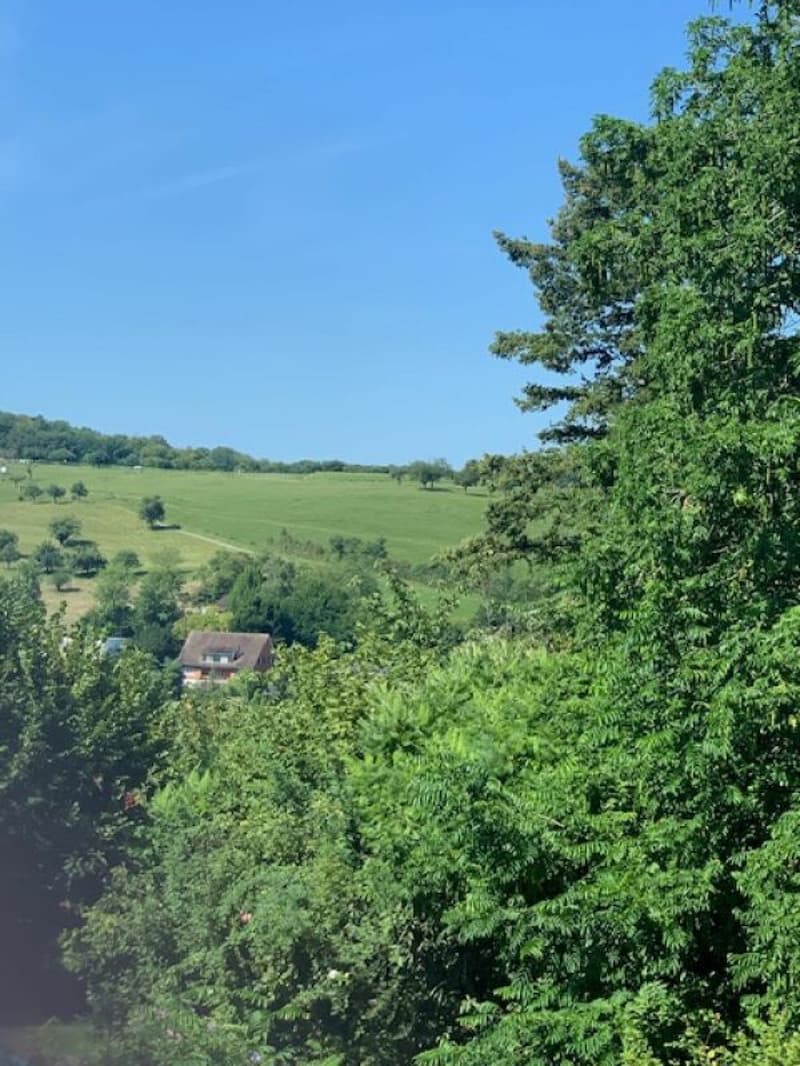Weitsicht in Richtung Muttenz.