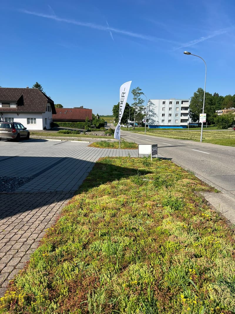The image shows a residential neighborhood with a mix of single-story houses and multi-story apartment buildings. There is a paved walkway and a grassy area with some vegetation. A street lamp and a flag pole with a banner are visible. The sky is clear an