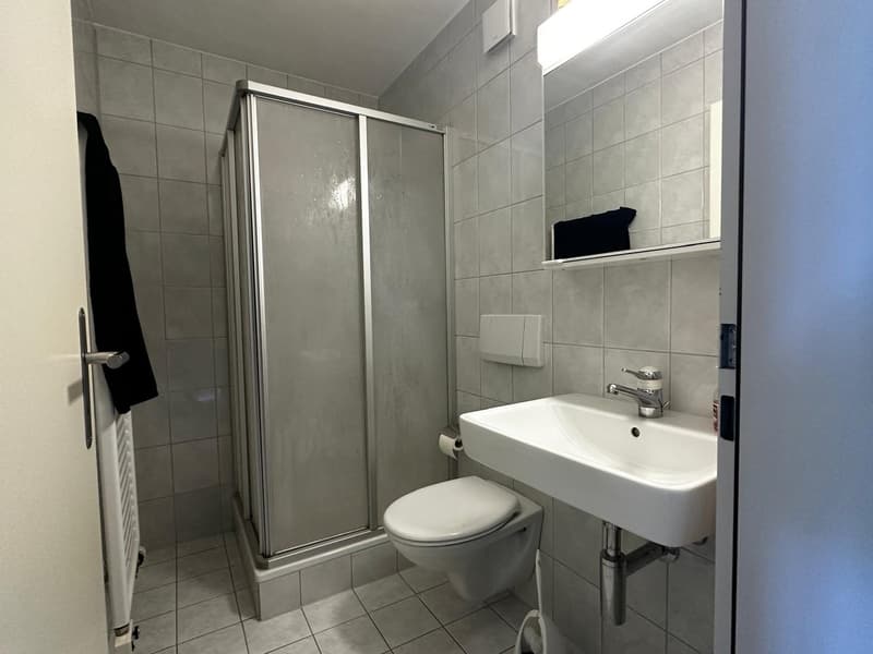 Grand appartement 4.5 pièces avec balcon à Münchwilen TG (13)