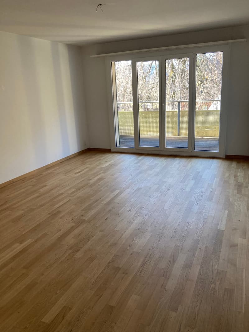 Appartamento di 3 camere a Langnau i.E. (1)