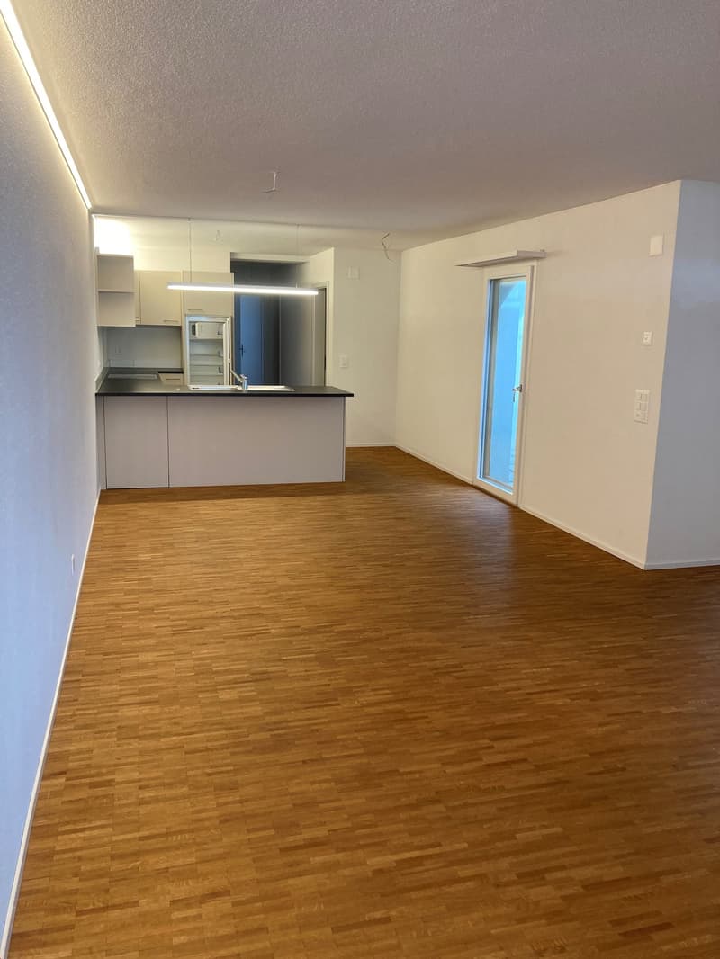 3.5 rooms with WOW factor (12)