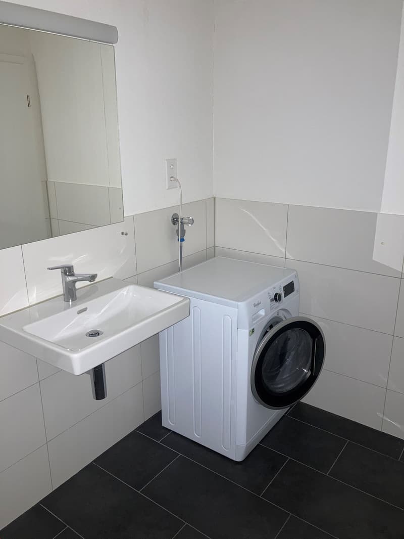 3.5 rooms with WOW factor (18)