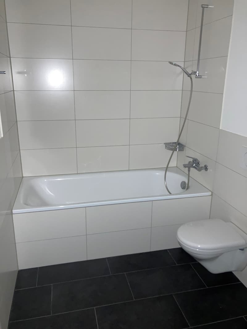 3.5 rooms with WOW factor (17)