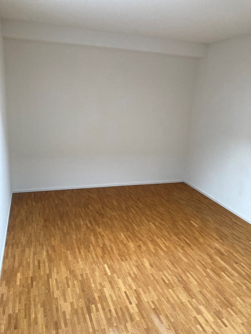 3.5 rooms with WOW factor (15)