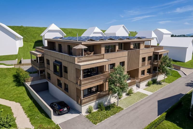 Vos appartements de rêve 4,5 pièces (2)