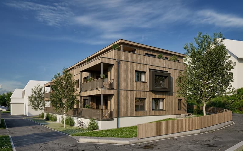 L'appartement studio parfait (3)