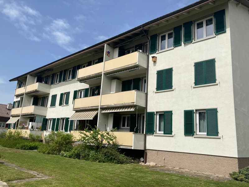 4 Zimmer zum Top-Preis (1)