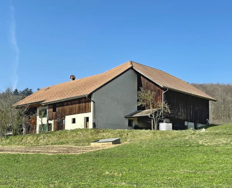 Ihr Traum in Wiedlisbach (4)