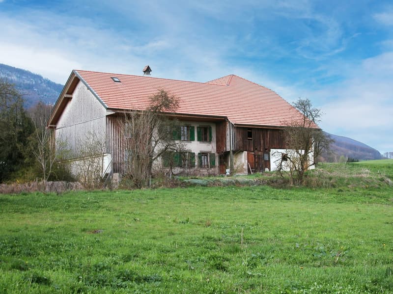 Ihr Traum in Wiedlisbach (2)